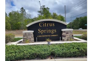 10147 DYAL DRIVE, CITRUS SPRINGS, FL 34434 - MLS#MFROM704741