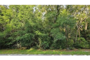 10147 DYAL DRIVE, CITRUS SPRINGS, FL 34434 - MLS#MFROM704741