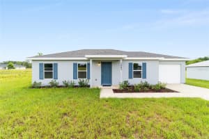 238 LOCUST PASS CIRCLE, OCALA, FL 34472 - MLS#MFROM704748