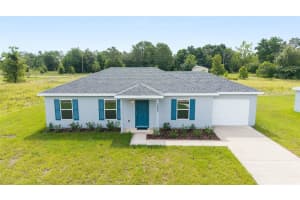 238 LOCUST PASS CIRCLE, OCALA, FL 34472 - MLS#MFROM704748