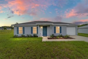 238 LOCUST PASS CIRCLE, OCALA, FL 34472 - MLS#MFROM704748