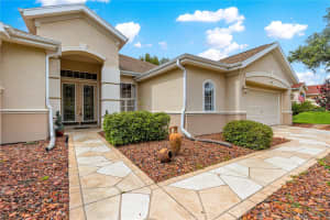 13195 93RD CIRCLE, SUMMERFIELD, FL 34491 - MLS#MFROM704783