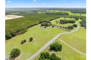 21588 106TH LANE ROAD, DUNNELLON, FL 34431 - MLS#MFROM704795