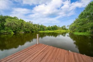 203 NW HWY 441, MICANOPY, FL 32667 - MLS#MFROM704847