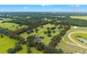 14650 160TH AVENUE, WILLISTON, FL 32696 - MLS#MFROM704862
