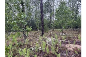 Lot 12 136TH AVENUE, DUNNELLON, FL 34431 - MLS#MFROM704876