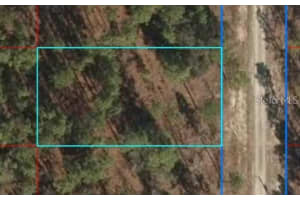 Lot 12 136TH AVENUE, DUNNELLON, FL 34431 - MLS#MFROM704876