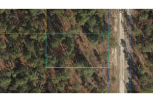 Lot 12 136TH AVENUE, DUNNELLON, FL 34431 - MLS#MFROM704876