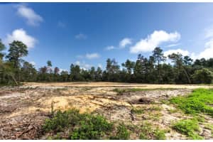 TBD 32ND CIRCLE, OCALA, FL 34473 - MLS#MFROM704961