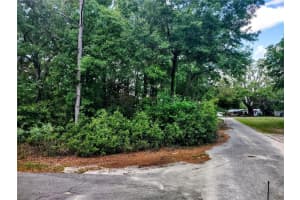 TBD 12TH STREET, WILLISTON, FL 32696 - MLS#MFROM704970
