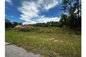 TBD 136TH STREET, OCALA, FL 34473 - MLS#MFROM704982
