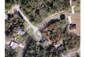 0 OLIVE ROAD, OCALA, FL 34473 - MLS#MFROM704984