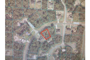 0 OLIVE ROAD, OCALA, FL 34473 - MLS#MFROM704984