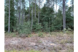 SW 29TH ST, OCALA, FL 34481 Sold 08/18/25