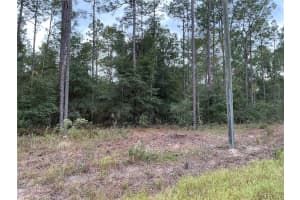 SW 29TH ST, OCALA, FL 34481 Sold 08/18/25