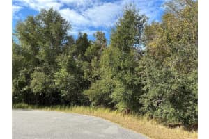 SPRUCE TER, OCALA, FL 34472 - MLS#MFROM704993