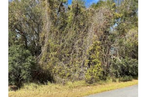SPRUCE TER, OCALA, FL 34472 - MLS#MFROM704993