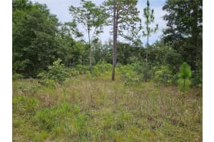 919 148TH COURT, WILLISTON, FL 32696 Sold 08/13/25