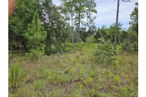 919 148TH COURT, WILLISTON, FL 32696 Sold 08/13/25