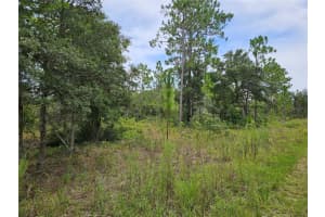 919 148TH COURT, WILLISTON, FL 32696 Sold 08/13/25