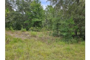 921 148TH COURT, WILLISTON, FL 32696 Sold 08/13/25