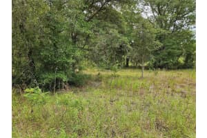 921 148TH COURT, WILLISTON, FL 32696 Sold 08/13/25