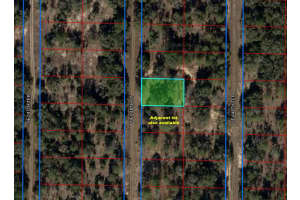 921 148TH COURT, WILLISTON, FL 32696 Sold 08/13/25