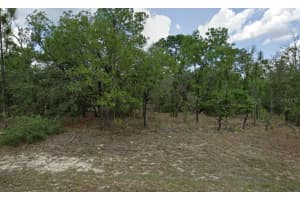 3593 WHIPPLE LANE, DUNNELLON, FL 34433 - MLS#MFROM705073