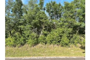 10713 ADLER DRIVE, CITRUS SPRINGS, FL 34434 Sold 12/02/25