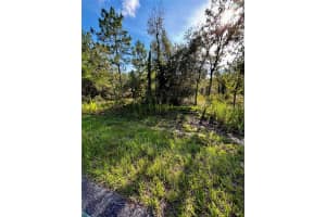 Lot 24 136 TERRACE, DUNNELLON, FL 34431 - MLS#MFROM705145