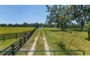 16490 122 TERRACE, REDDICK, FL 32686 - MLS#MFROM705155