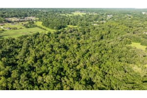 4701 JACKSONVILLE ROAD, OCALA, FL 34479 - MLS#MFROM705179