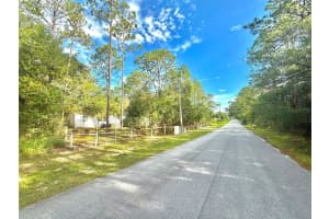 2980 176TH AVENUE, DUNNELLON, FL 34432 - MLS#MFROM705196