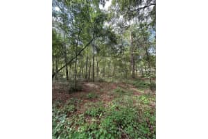 TBD 225TH PLACE, FORT MC COY, FL 32134 - MLS#MFROM705226