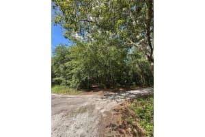 TBD 225TH PLACE, FORT MC COY, FL 32134 - MLS#MFROM705226