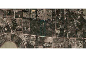 4190 138TH TERRACE, WILLISTON, FL 32696 - MLS#MFROM705234