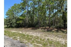 4053 FIREWOOD LOOP, CITRUS SPRINGS, FL 34434 Sold 11/24/25