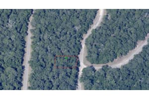 870 PANAMA DRIVE, CITRUS SPRINGS, FL 34434 - MLS#MFROM705271