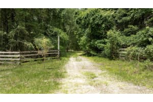 8530 160TH AVENUE, WILLISTON, FL 32696 - MLS#MFROM705300