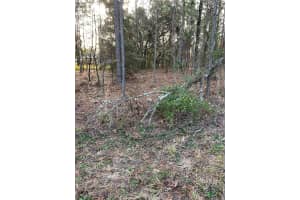 TBD OAK LANE CIRCLE, OCALA, FL 34472 Sold 09/18/25