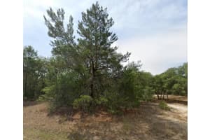 1426 W DOLORES DR, CITRUS SPRINGS, FL 34434 - MLS#MFROM705332