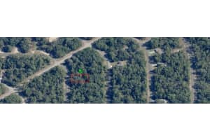 6455 N WHISPERING DR, CITRUS SPRINGS, FL 34434 - MLS#MFROM705333