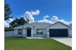 213 Malauka Run, OCKLAWAHA
