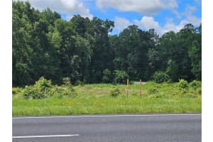 tbd NE HIGHWAY 27 ALT, WILLISTON, FL 32696 Sold 09/19/25