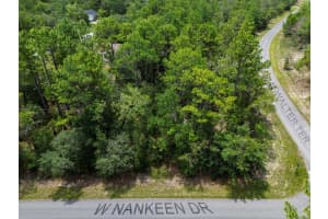 6549 WALTER TERRACE, DUNNELLON, FL 34434 - MLS#MFROM705418