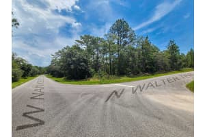 6549 WALTER TERRACE, DUNNELLON, FL 34434 - MLS#MFROM705418