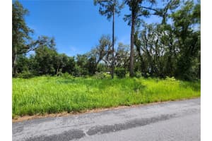 TBD OAK LANE WAY, OCALA, FL 34472 - MLS#MFROM705484