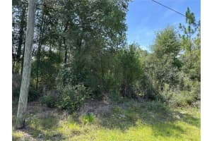 8547 TROJAN DRIVE, CITRUS SPRINGS, FL 34433 Sold 08/13/25