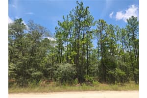 SW 76 LN, DUNNELLON, FL 34432 Sold 08/20/25