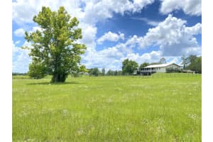 9650 49 STREET, BRONSON, FL 32621 Sold 12/15/25